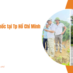 Dịch vụ cắm mốc tại Tp Hồ Chí Minh - Giải pháp chính xác và uy tín