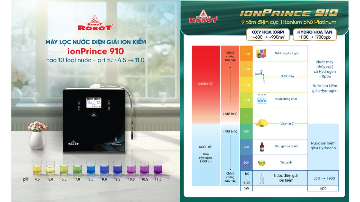 ROBOT ionPrince 910